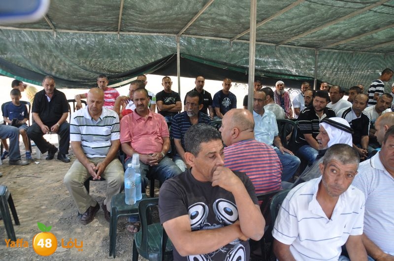 sol7desoqylud615 (83).JPG